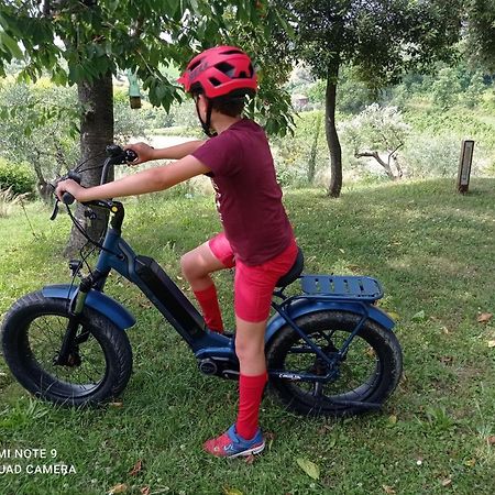 Agriturismo Il Bacucco Montecarotto ภายนอก รูปภาพ