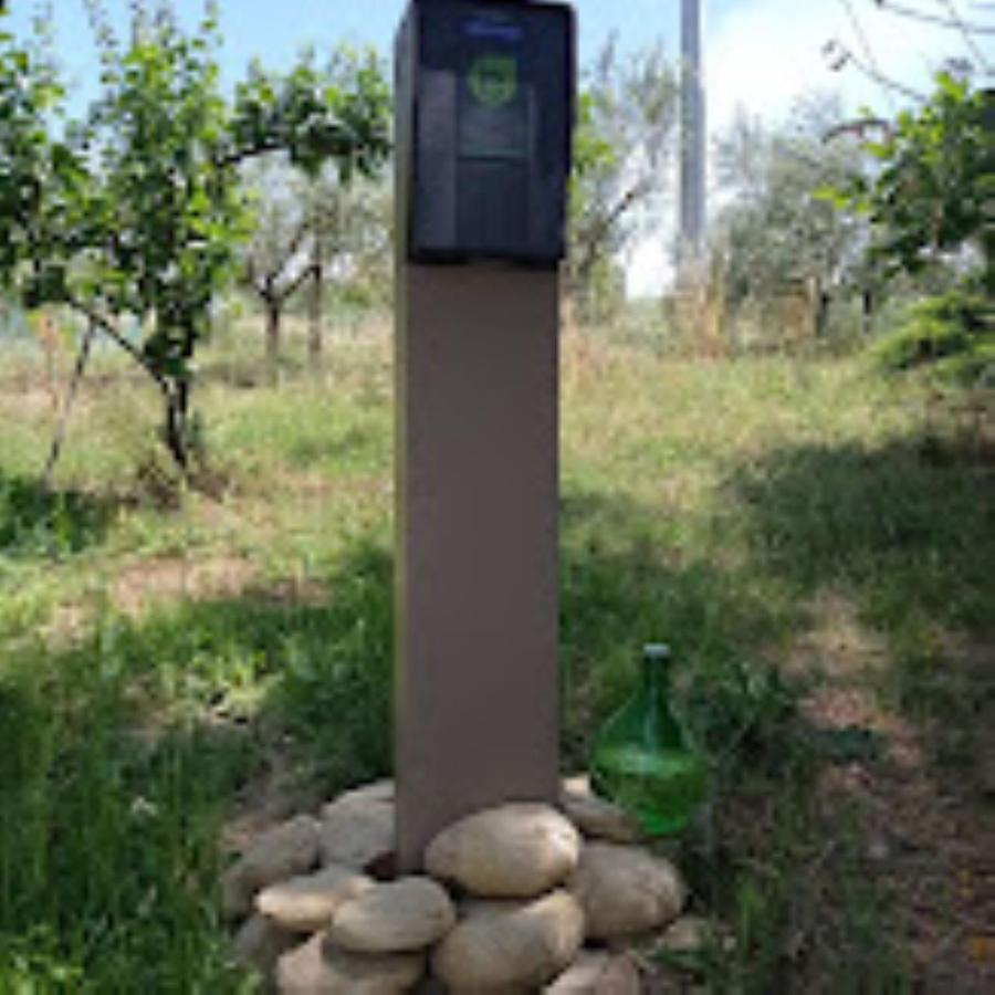 Agriturismo Il Bacucco Montecarotto ภายนอก รูปภาพ