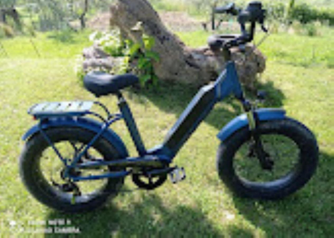 Agriturismo Il Bacucco Montecarotto ภายนอก รูปภาพ
