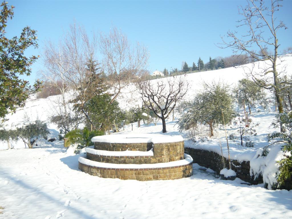 Agriturismo Il Bacucco Montecarotto ภายนอก รูปภาพ