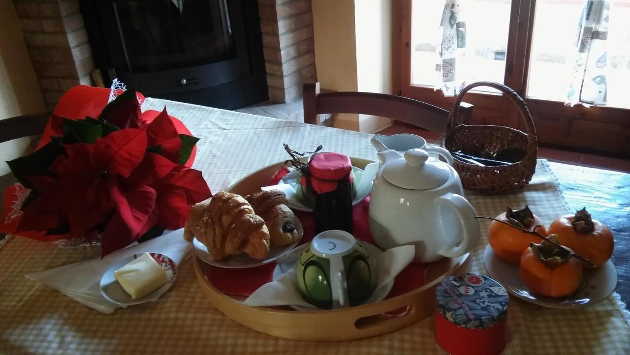 Agriturismo Il Bacucco Montecarotto ภายนอก รูปภาพ