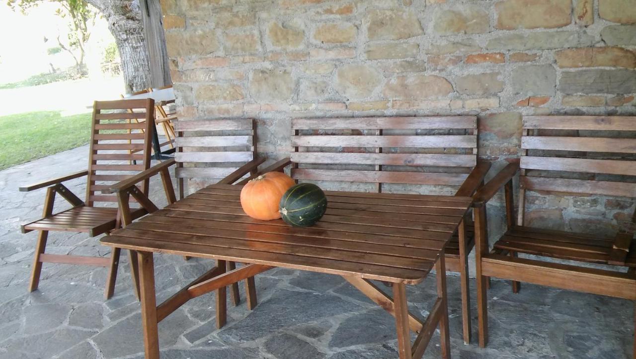 Agriturismo Il Bacucco Montecarotto ภายนอก รูปภาพ