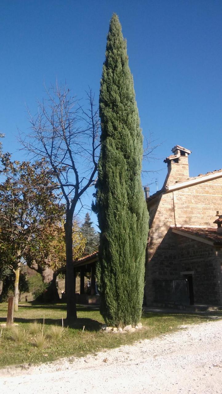 Agriturismo Il Bacucco Montecarotto ภายนอก รูปภาพ